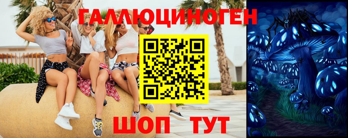 Галлюциногенные грибы Psilocybine cubensis  Галлюциногенные грибы GOLDEN TEACHER  Вход с VPN  Усть-Илимск 