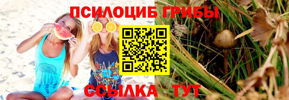Галлюциногенные грибы MAGIC MUSHROOMS Усть-Илимск